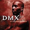 DMX Picture 3