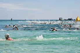 Image result for SwimSwansea