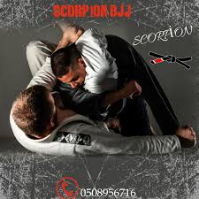 Image result for Scorpion Martial Arts Academy