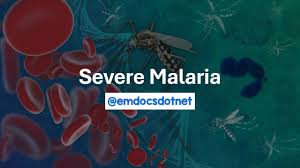 Attēlu rezultāti vaicājumam “Dianema depressum plasmodium”