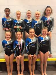 Image result for Hinckley Gymnastics Club