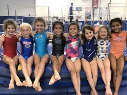 Image result for Sutton At Home Gymnastics Club