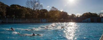 Image result for South London Swimming Club