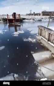 Image result for geeuw