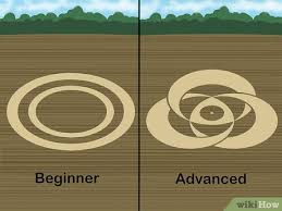 Image result for crop circle