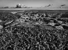 Image result for sebastiao salgado
