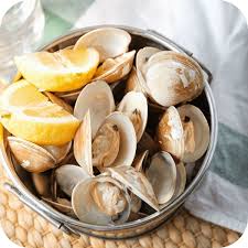 Image result for Clams