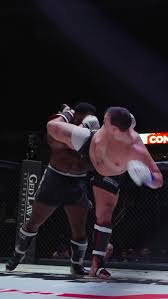 Image result for Blood Sweat and Tears Mixed Martial Arts Academy