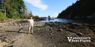 Image result for West Finchley B C