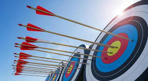 Image result for Blue Arrows Archery Club