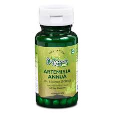 Image result for Artemisia annua