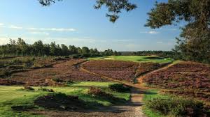 Image result for Hankley Common Golf Club