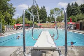 Image result for Trowbridge Swimming Club