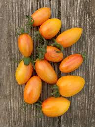Afbeeldingsresultaat voor blushing yellow tomato