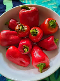 Afbeeldingsresultaat voor Szegedi 80 hot pepper
