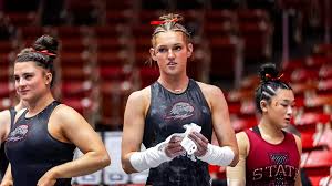 Image result for Kendal School Of Gymnastics