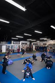 Image result for Bully Me Now Mixed Martial Arts