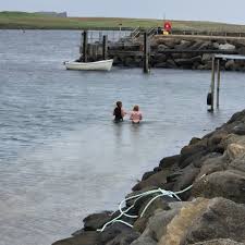 Image result for Apneists UK