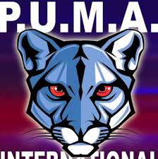 Image result for Newbury TAGB Tae Kwon-Do (Juniors)