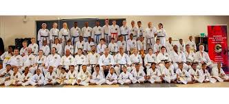 Image result for GoJu-Kai Karate Club