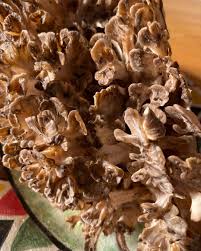 Attēlu rezultāti vaicājumam “Grifola frondosa”