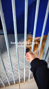 Image result for Wythall Cc