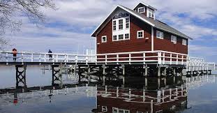 Image result for Boathouse Volleyball Club