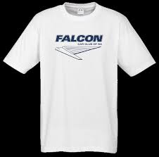 Image result for Falcon Sa Club
