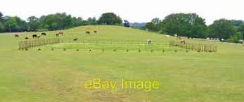 Image result for Lyndhurst Cricket Club