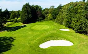 Image result for Downshire Golf Complex
