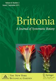 Attēlu rezultāti vaicājumam “Licea castanea”