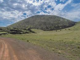 Attēlu rezultāti vaicājumam “Craterium sp.”