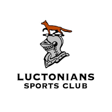 Image result for Luctonians Cricket Club