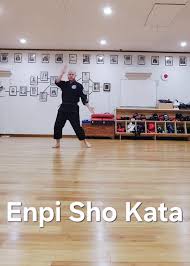 Image result for enpi dojo