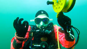 Image result for Droylsden Sub Aqua Club