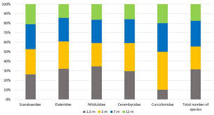 Attēlu rezultāti vaicājumam “Glischrochilus quadripunctatus imago”