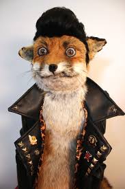 Image result for biker fox