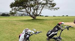 Image result for Cardigan Golf Club
