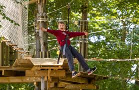 Image result for Go Ape! Dalby