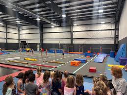 Image result for Arabian School Of Gymnastics