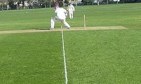Image result for Halstead Colts Cricket Club