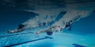 Image result for Dearne Valley Swimming Club