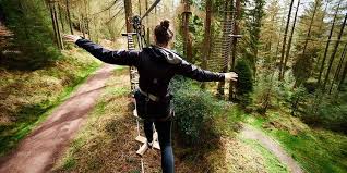 Image result for The Go Ape Experience (Delamere Forest)