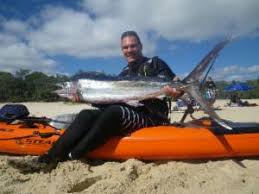 Image result for Istiompax indica