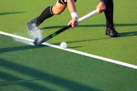 Image result for Astroturf