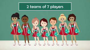 Image result for Hn Ladies Netball Club