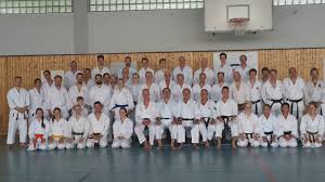 Image result for Uwe Karate Club