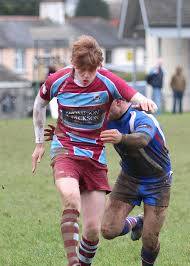 Image result for Totnes Rugby Club
