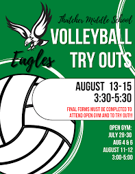 Image result for Tendring Volleyball Club