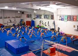 Image result for Angmering School Of Gym